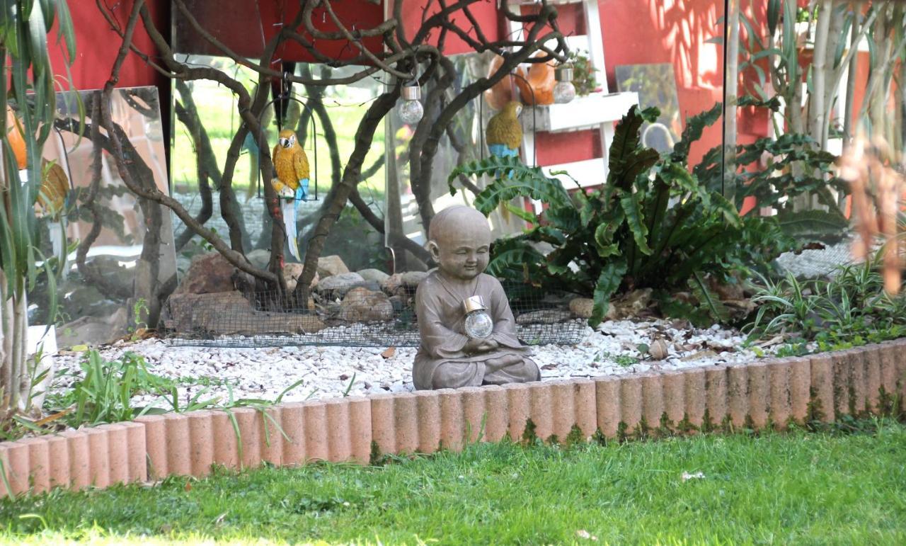 Maison Toulousaine Avec Jardin トゥールーズ エクステリア 写真
